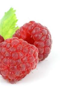 Raspberry Notebook