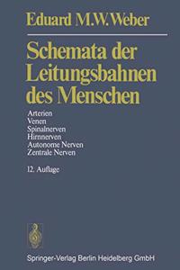 Schemata Der Leitungsbahnen Des Menschen: Arterien/Venen/Spinalnerven/Hirnnerven/Autonome Nerven/ Zentrale Nerven