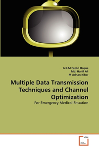 Multiple Data Transmission Techniques and Channel Optimization