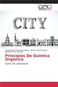 Principios De Química Orgánica