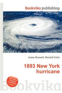 1893 New York Hurricane