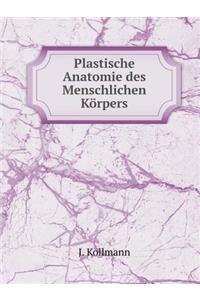 Plastische Anatomie Des Menschlichen Körpers