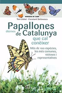 Papallones diurnes de Catalunya: que cal coneixer