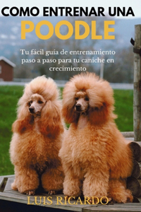 Como Entrenar Una Poodle