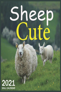 Cute Sheep