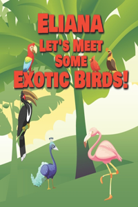 Eliana Let's Meet Some Exotic Birds!