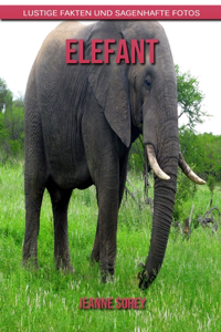 Elefant