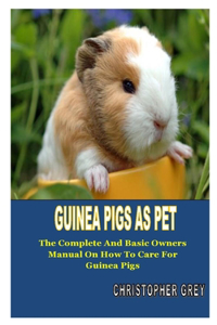 Guinea Pigs as Pet