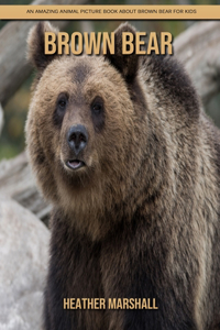 Brown Bear