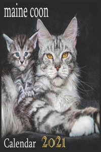 maine coon