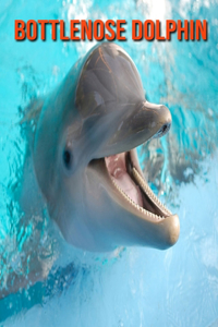 Bottlenose Dolphin