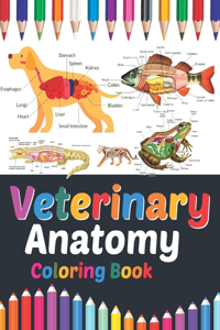 Veterinary Anatomy Coloring Book