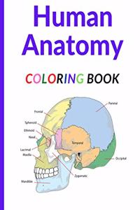 Human Anatomy Coloring Book