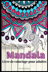 Mandala Livre de Coloriage pour Adultes