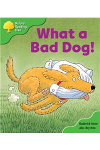 Oxford Reading Tree: Level 2: Big Book Pack (6 books, 1 of each title)