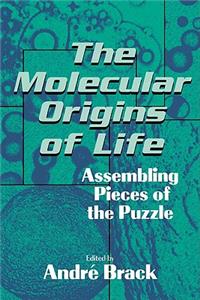 Molecular Origins of Life