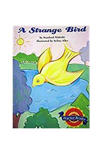 A Strange Bird