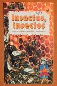 Insectos, Insectos, Single Copy, Mas Pinata, Stage 2