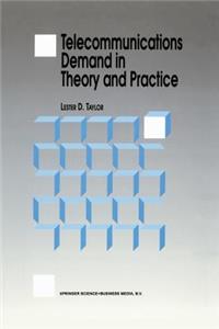 Telecommunications Demand in Theory and Practice