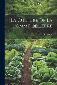culture de la pomme de terre