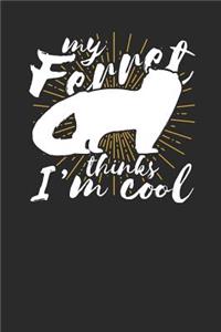 My Ferret Thinks I'm Cool