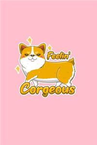 Feelin Corgeous
