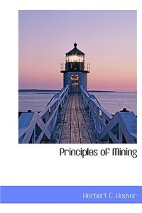 Principles of Mining