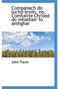 Companach Do Luchd-Broin, No, Comhairle Chriosd Do Mhathair Fo Amhghar