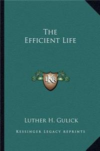 The Efficient Life