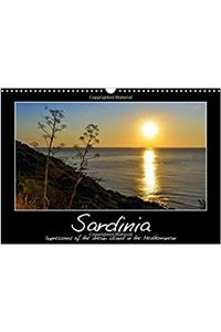 Dream Island Sardinia / UK-Version 2017