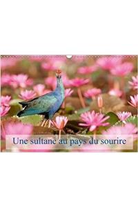 Une Sultane Au Pays Du Sourire 2018