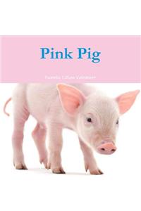 Pink Pig