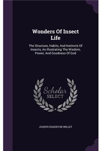 Wonders Of Insect Life