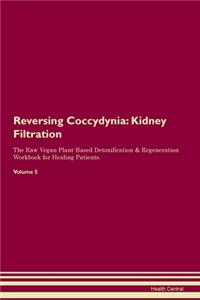 Reversing Coccydynia: Kidney Filtration The Raw Vegan Plant-Based Detoxification & Regeneration Workbook for Healing Patients. Volume 5