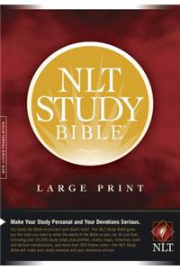 Study Bible-NLT-Large Print: New Living Translation