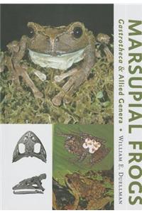 Marsupial Frogs