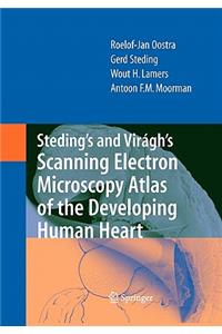 Steding's and Virágh's Scanning Electron Microscopy Atlas of the Developing Human Heart