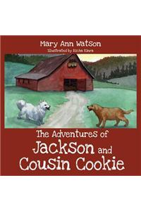 Adventures of Jackson and Cousin Cookie