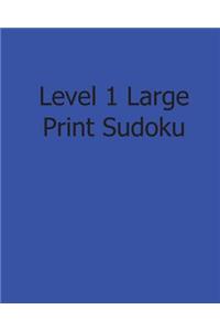 Level 1 Large Print Sudoku