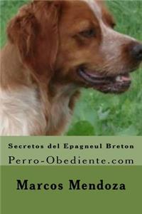 Secretos del Epagneul Breton