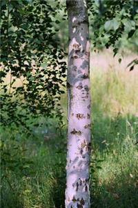Birch Tree in the Summer Woods Journal