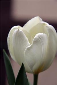 An Elegant White Tulip Flower Journal