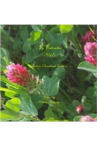 My Calendar 2018: Indian Paintbrush Edition (House of Ivy)