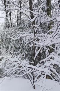 Winter Journal Scenic Snowy Forest