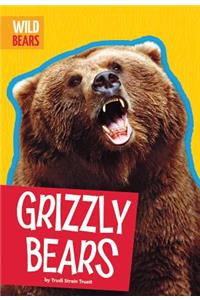 Grizzly Bears