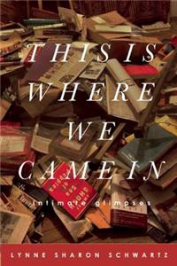 This Is Where We Came in: Essays