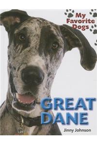 Great Dane