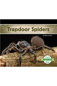 Trapdoor Spiders