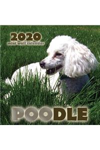 Poodle 2020 Mini Wall Calendar