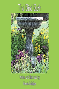 Bird Bath